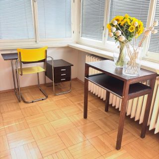 Slunečnice, makovice, Halabala, Breuer, Stam, topeni, okna, žaluzie, parkety | Sunflowers, poppy seeds, Halabala, Breuer,...